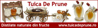 Link http://www.tuicadeprune.ro