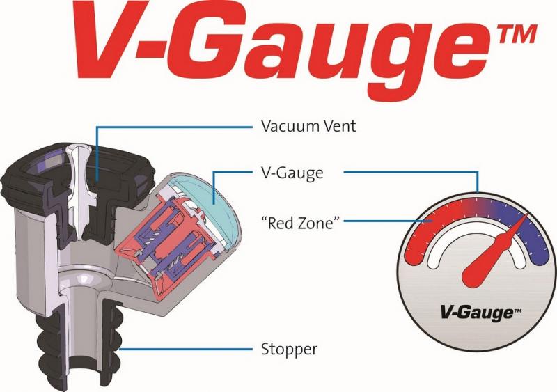 Pompa vacuumat V-GAUGE