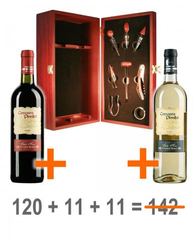 Pachet PROMO 1
