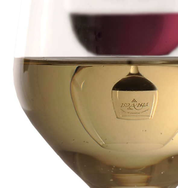 VINVEST 2009